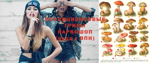 прущий лед Алексеевка