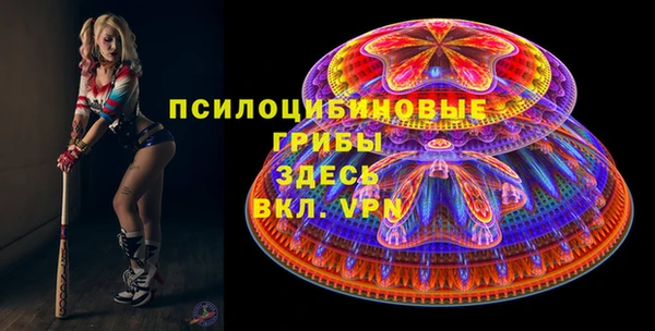 МДПВ Алексин