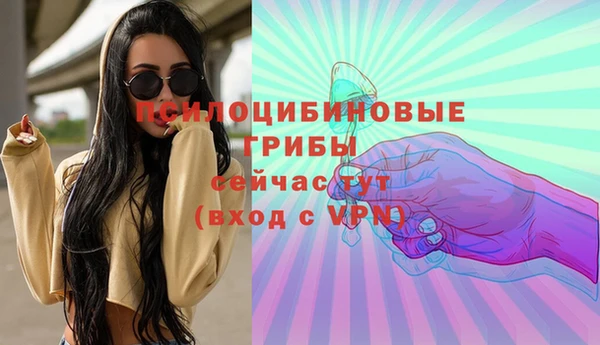 МДПВ Алексин