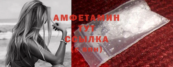 мдпв Пересвет