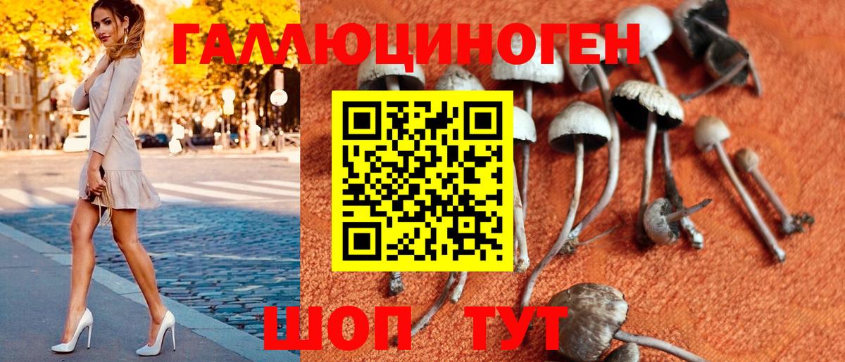 Галлюциногенные грибы Magic Shrooms  Вход с VPN  Чебаркуль 